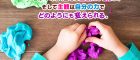 No.264　主観
