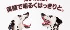 No.9　先手の挨拶